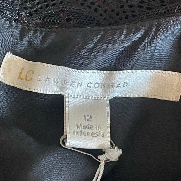 Lauren Conrad Ladies long sleeve, lace neck, with pleated skirt. Fully lined NWT - Picture 2 of 11